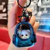Oso Metálico Creativo Mochila Luz Nocturna Llavero Colgante Luz Ambiental Adorno de Llavero Máquina de Garra Regalo Mayoreo