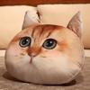 Almofada de Gato Fofa Redonda Estampada 3D Cabeça de Animal Gatinho Muppet Gato Almofada de Soneca para Escritório Cobertor 2 em 1