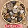 Piedras de Patio, Piedras de Colores, Piedras Pequeñas Naturales para Paisajismo, Piedras Originales para Acuarios, Macetas y Piedras Decorativas
