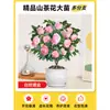 Plántulas de Camelia Xiangfei en Maceta con Capullos Sala de Estar Interior Balcón Plantas Verdes Florales Florecen en Todas las Estaciones Fácil de Mantener para Personas Perezosas