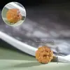 Sândalo Natural Esculpido Cabeça de Pixiu Pequenos Acessórios de Pixiu Brinquedo de Mogno Acessórios de Contas Soltas Contas de Cabeça Humana de Madeira