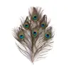 Vendas Diretas de Fábrica 25-30cm Penas de Pavão com Olhos Grandes e Olhos Pequenos Penas de Pavão Acessórios de Vestuário DIY Tecnologia