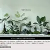 Plantas Verdes Simuladas com Toque de Luxo, Combinação de Paisagismo com Plantas Artificiais, Conjunto Completo de Decorações para Janelas Internas, Design Criativo Biomimético Estilo Wabi-Sabi