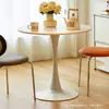 Mesa de Centro de Recepción para Negociaciones de Empresa Moderna Simple Mesa Redonda Grande para Sala de Estar, Estudio, Balcón, Mesita de Noche Combinación de Mesa y Sillas de Comedor