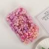 Flor Seca Eterna Flor Hortênsia Gradiente Feito à Mão Material DIY Bolsa Face a Face Sapatos de Casamento Tampa de Vidro Atividade de Construção em Grupo Arte Floral