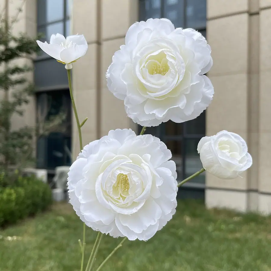 4头小茶花-xwmwpx-白色.JPG