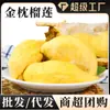 Almofada Dourada Tailandesa Supermercado Durian Carne de Durian Congelada Fresca Seca Embalagem Atacado Durian Carne Pura para Dropshipping