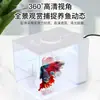 Acuario pequeño de plástico para sala de estar y escritorio de oficina, mini acuario rectangular para el hogar con luz y bomba de agua