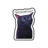 Insignias Metálicas Impresas Serie Gato Nuevo Lindo de Dibujos Animados Broche Creativo Divertido Citas en Inglés para Mascotas Venta al por Mayor