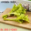 Simulación Hortaliza Verde Corazón Hoja Fruta Modelo de Comida Decoración de Cocina Adornos Cadena para Colgar Boceto Fotográfico Accesorios de Juego