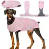 Roupas para cães pequenos, médios e grandes, colete protetor de barriga tipo urso de pelúcia, proteção para a barriga para prevenir resfriados, roupas pós-castração para cadelas, roupas para desmame