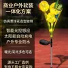Luces LED Solares Impermeables para Exteriores Transfronterizas, Luces Verdes Brillantes de Cebolla, Luces de Diente de León para el Suelo, Fabricante de Jardines y Patios de Villas