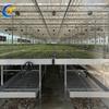 Invernadero de Vivero para Agricultor de Verduras Cultivo de Plántulas de Flores Marco de Aleación de Aluminio Estante para Plántulas Galvanizado en Caliente Cama de Semillero Multicapa