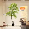 Planta de simulación Nandina domestica de pie en maceta para interior, grande, biónica, verde, adornos, sala de estar, lujo ligero, flor decorativa, árbol falso