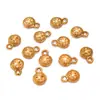 Dijes para Colgantes de Corazón, Flor, Animal, Estrella, Hoja, Pimienta, Hechos por Ti Mismo, Acero Inoxidable Chapado en Oro Real Ecológico, Joyería