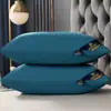 Almohada de terciopelo de plumas de un solo lado