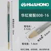 Pincel de Cerdas para Tinta a Óleo Hwahong Huahong Coreano Importado Leque 205 Caneta Leque 808 Avelã Profissional Acrílico Giz de Cera