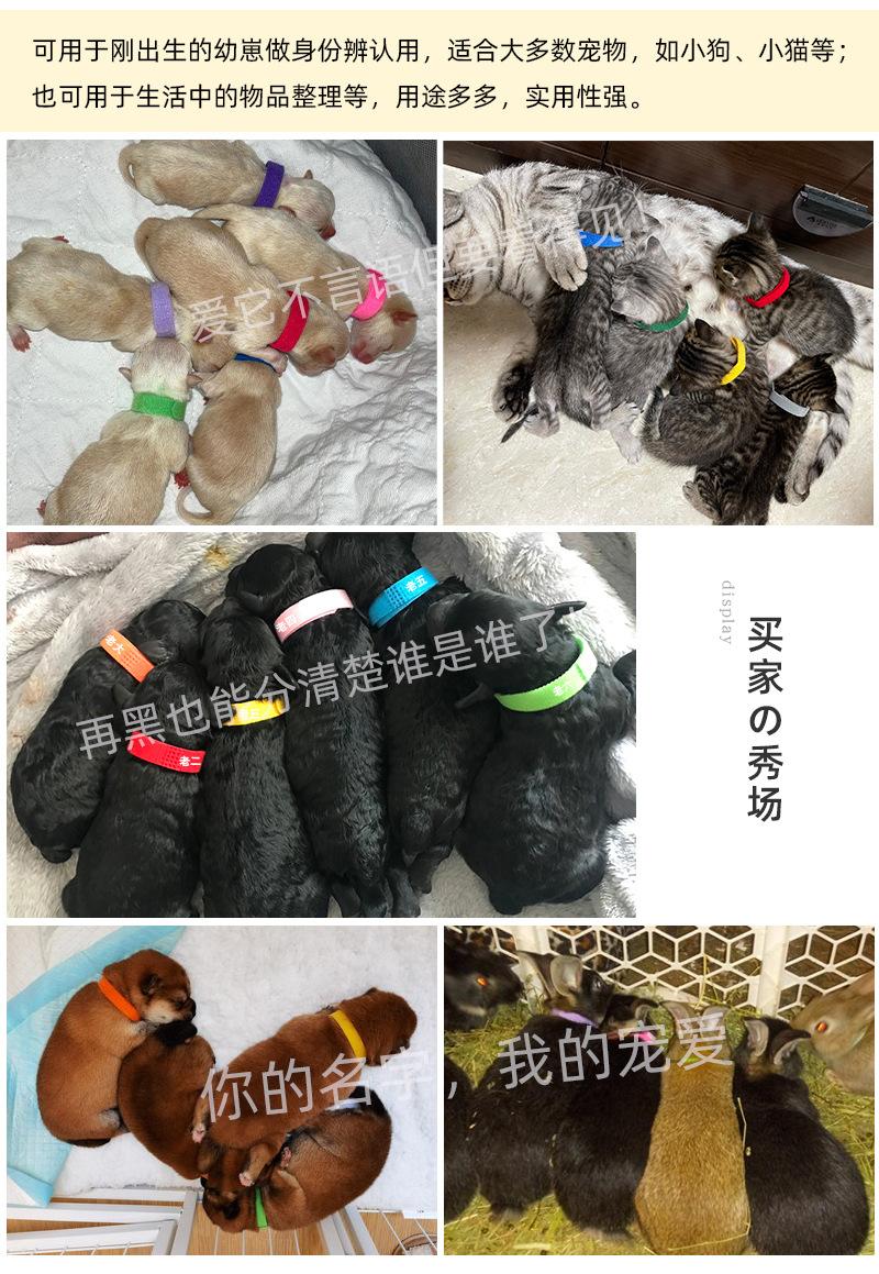 印字6色宠物圈详情_09
