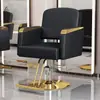 Silla de Peluquería, Silla Especial para Salón de Peluquería, Silla Giratoria Elevable para Barbería, Silla de Belleza, Silla de Peluquería
