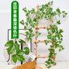 Decoración de hiedra Refugio de tubo Planta verde Flor artificial Ratán Plástico Arce Enredadera Hoja verde Trepadora