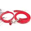 Correa para Perro Collar para Perro Bixiong Teddy Collar para Pasear Perros Pequeños Cadena para Perro para Salir Collar para Gato Cuello