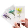 Flor Eterna Gypsophila Tarjeta de Felicitación Tarjeta Insertada de Papel Kraft Hecha a Mano Regalo de Amor con Sobre Transfronterizo