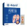 Adesivos de Milho Herbal Yunnan Atacado para Calos Duros, Calos Antigos e Verrugas, Adesivos de Cuidado para Mãos, Pés e Solas, Produtos Mais Vendidos no TikTok, Dropshipping