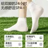 Calcetines de seda sin costuras de verano para mujer, calcetines transpirables y absorbentes de sudor hasta la pantorrilla, ligeros y transpirables, modelo 2026, venta al por mayor desde Zhuzji