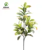 Ficus Elastica Folhas Grandes Planta de Folha Verde Mudança de Cor Madeira Falsa Planta em Vaso Falso Árvore Pequena Árvore Falsa de Interior Bonsai de Folha Verde