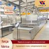 Produção de secador de mosca preta Tenebrio Molitor secador rápido Equipamento de microondas de secagem de insetos Fixação de chá