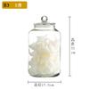 Frasco de Vidrio para Almacenamiento, Frasco para Alimentos, Frasco Sellado para Almacenamiento de Té, Contenedor para Arroz, Frasco para Almacenamiento de Harina, Botella de Vidrio, Resistente a la Humedad, Material de Alto Blanco