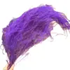 Hierba Barba de Dragón Eterna, Hierba de Junco, Flores Reales, Venta al por Mayor Fabricante de Yunnan, Serie Fuegos Artificiales de Ensueño, Materiales Florales para Cortinas de Boda, Decoración Suave