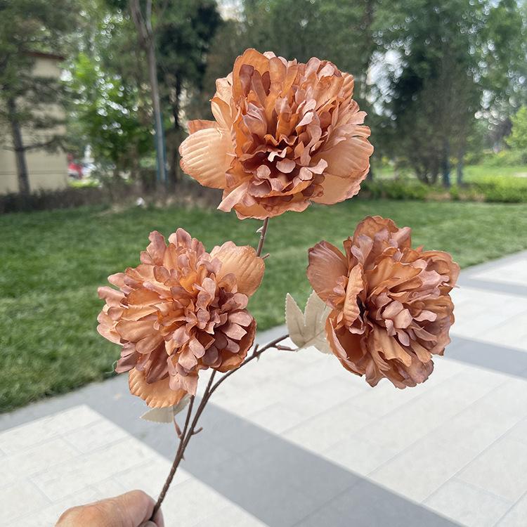 TeHui3大头涂层牡丹-sxzxx-咖色.JPG