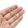 Pendientes de Acero Inoxidable Pendientes Colgantes Accesorios Hechos a Mano DIY Acero de Titanio Electroplateado al Vacío Pendientes para Mujer Gancho para Oreja