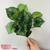 Planta Pacote de Folhas Verdes Paisagem de Jardim Cenário Decoração de Espaço Plantas Verdes Folhas Revestidas com Cola