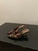 Zapatos de tacón Chuyuji para mujer, elegantes y cómodos, sandalias de punta cerrada con estampado de leopardo, zapatos de hada, nuevo modelo de punta 2026