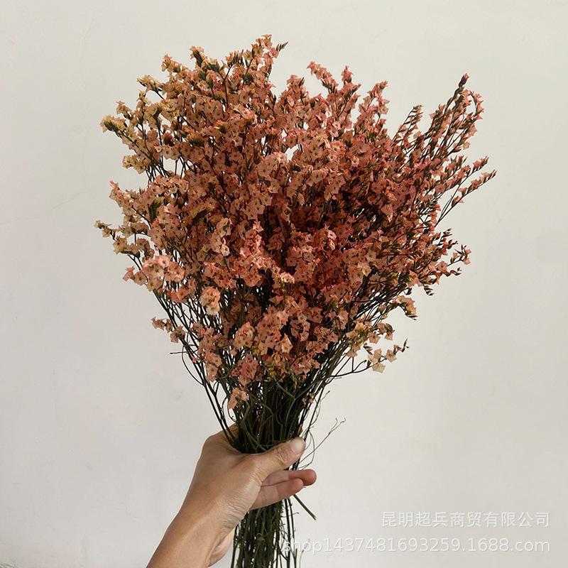 QQ图片20210804160734.jpg