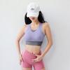 Lindo Sutiã Esportivo Costas Esportivas Feminino Peça Única à Prova de Impacto Estilo Colete Anti-Queda Push-Up Secagem Rápida Fitness Corrida Yoga