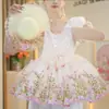 Vestido Floral para Bebé Niña 2026 Nuevo Elegante y Lindo Vestido Bordado para Niños de 1 a 7 Años Vestido de Princesa Envío Gratis y Dropshipping