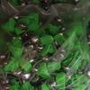 Atacado vara de pesca marítima Bell placa clipe Bell espiral Bell pesca pequenos acessórios não machucam Vara de arremesso Vara atacado