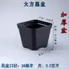 Cuadrado negro grande engrosado carnoso generoso cuenca hoja de plántula esqueje corte cuenca material esmerilado maceta de plástico diámetro 10 cm