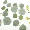 Hojas de Eucalipto Artificiales con Hojas de Dinero Impresas en Seda, Accesorios Florales para Manualidades DIY de Vegetación Hecha a Mano, Materiales y Accesorios de Rama Única de Eucalipto