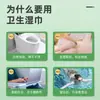 Lenços Sanitários de Essência de Melaleuca Descartáveis para Higiene Íntima Lenços de Limpeza Menstrual Lenços de Higiene Pessoal Doméstica Venda por Atacado