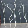 Ramas Secas Creativas, Ramas de Árbol, Varillas de Techo, Ramas Secas, Ramas de Árbol Peladas, Troncos, Arreglos Florales Decorativos, Arte de Árbol