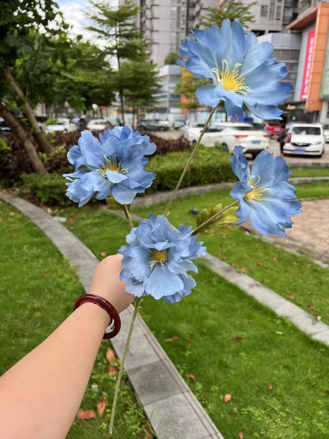 微信图片_20240729142733.jpg