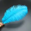 30-35cm Plumas de Avestruz Lámpara de Plumas Arreglo Floral de Plumas de Avestruz Plumas de Boda