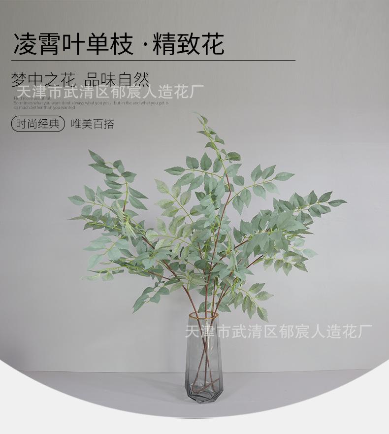 详情_05.png
