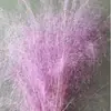 Flores Preservadas, Hierba Rosa, Flores Secas, Hierba Mosquitera, Cola de Zorro, Materiales Florales DIY, Arreglos de Boda, Decoración del Hogar, Venta al por Mayor de Fábrica