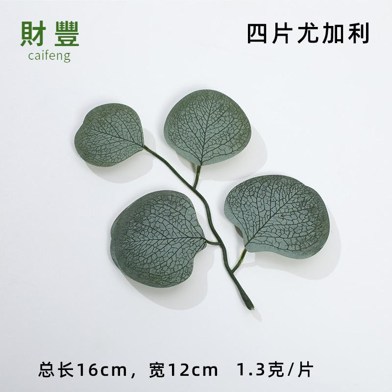 4片尤加利.jpg