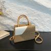 Bolsa popular de contraste de cores deste ano feminina 2024 nova moda outono textura bolsa mensageiro feminina portátil pequena quadrada